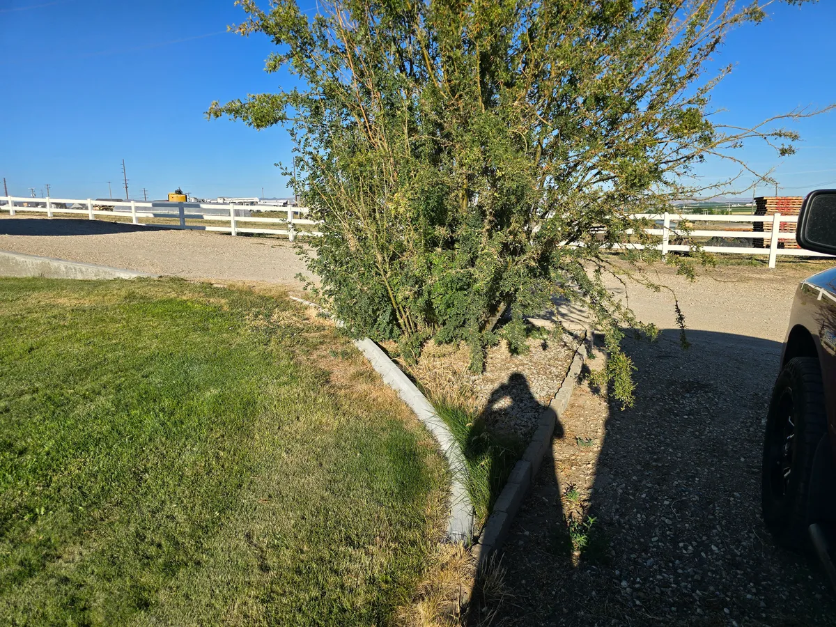 Concrete Driveways & Flatwork